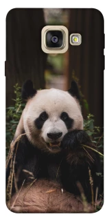Чехол на Samsung A520 Galaxy A5 (2017) Панда фото 1 из 1