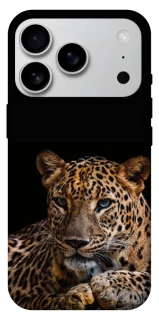 Чехол на Apple iPhone 17 Pro Max (6.9") Leopard v4 фото 1 из 1