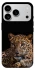 Чехол на Apple iPhone 17 Pro Max (6.9") Leopard v4 фото 1 из 1
