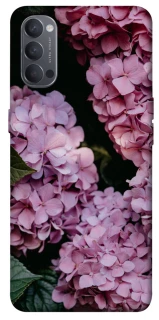 Чохол на Oppo Reno 4 Рожеві гартензії фото 1 з 1
