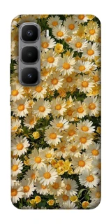 Чохол на Infinix Hot 60 Pro+ Camomile фото 1 з 1
