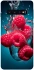 Чохол на Samsung Galaxy S10 Малинка у воді фото 1 з 1