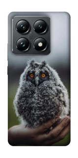 Чохол на Xiaomi 14T Pro Совеня фото 1 з 1