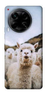 Чохол на TECNO Camon 30 (CL6) Лама фото 1 з 1