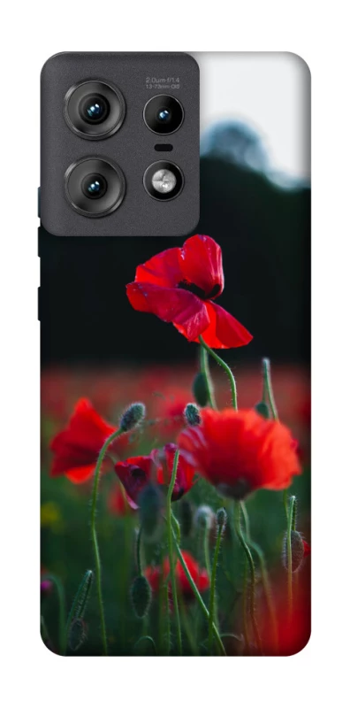 Чехол на Motorola Edge 50 Pro Мак фото 1 из 1