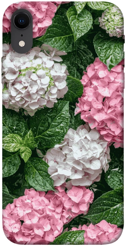 Чехол на Apple iPhone XR (6.1") Secret Garden фото 1 из 1