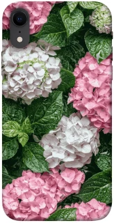 Чехол на Apple iPhone XR (6.1") Secret Garden фото 1 из 1