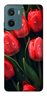 Чохол на Motorola Moto G06 Червоні тюльпани фото 1 Чохол на Motorola Moto G06 Червоні тюльпани фото 1 з 1