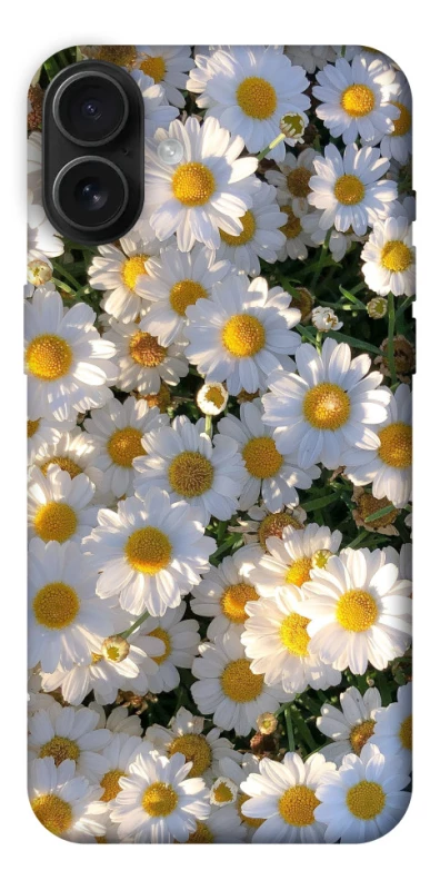 Чохол на Apple iPhone 16 Plus Поле ромашок фото 1 з 1