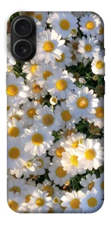 Чохол на Apple iPhone 16 Plus Поле ромашок фото 1 з 1