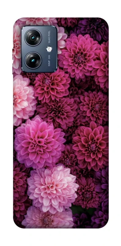 Чохол на Motorola Moto G54 Power Garden1 фото 1 з 1