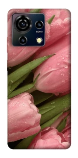 Чохол на ZTE Blade V50 Vita Beauty фото 1 Чохол на ZTE Blade V50 Vita Beauty фото 1 з 1