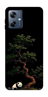 Чохол на Motorola Moto G54 Power Panda and tree фото 1 з 1