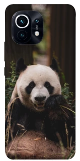 Чохол на Xiaomi Mi 11 Панда фото 1 з 1