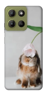 Чохол на Motorola Moto G15 4G Bunny фото 1 з 1