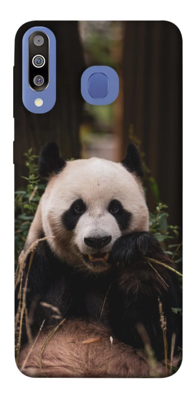 Чехол на Samsung Galaxy M30 Панда фото 1 из 1
