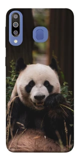 Чехол на Samsung Galaxy M30 Панда фото 1 из 1