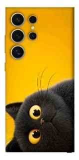 Чохол на Samsung Galaxy S25 Ultra This is Cat фото 1 з 1