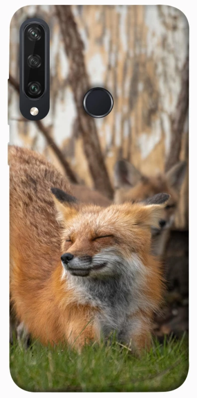 Чехол на Huawei Y6p Лиса фото 1 из 1
