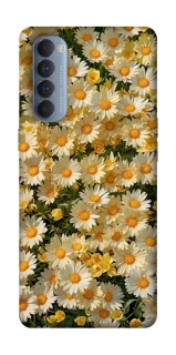 Чехол на Oppo Reno 4 Pro Camomile фото 1 из 1