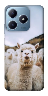 Чохол на Realme C63 Лама фото 1 з 1