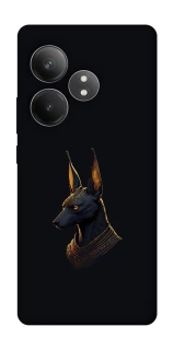 Чехол на Realme GT Neo 6 Anubis фото 1 из 1