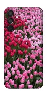 Чохол на Samsung Galaxy M15 5G Flowers v9 фото 1 з 1