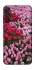 Чохол на Samsung Galaxy M15 5G Flowers v9 фото 1 з 1