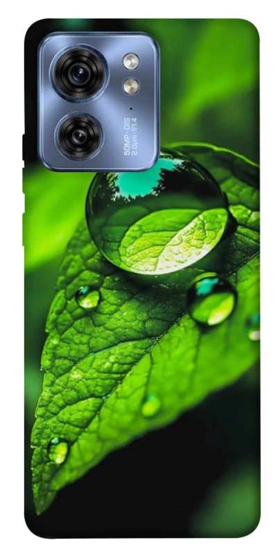 Чохол на Motorola Edge 40 Flowers v16 фото 1 з 1