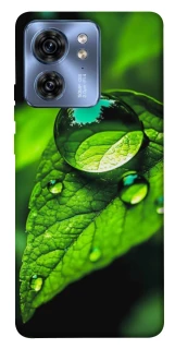 Чохол на Motorola Edge 40 Flowers v16 фото 1 з 1