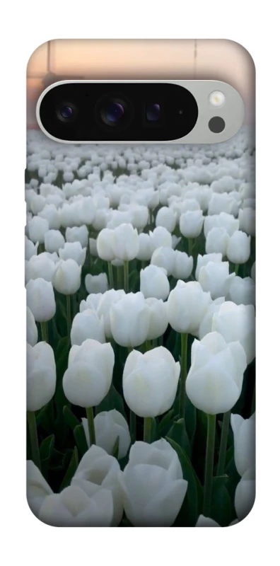 Чехол на Google Pixel 9 Pro XL Flowers v1 фото 1 Чехол на Google Pixel 9 Pro XL Flowers v1 фото 1 из 1