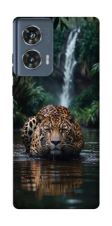 Чохол на Motorola Edge 50 Leopard in water фото 1 з 1