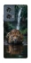 Чохол на Motorola Edge 50 Leopard in water фото 1 з 1