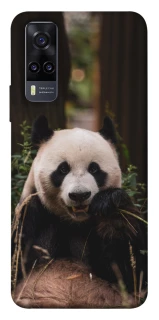 Чехол на Vivo Y31 Панда фото 1 из 1
