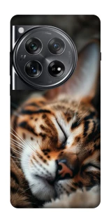 Чехол на OnePlus 12 Cat paws фото 1 из 1