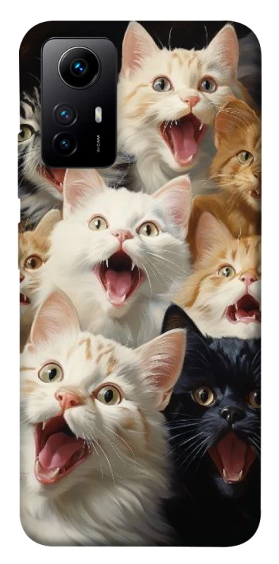 Чохол на Xiaomi Redmi Note 12S Коти фото 1 з 1