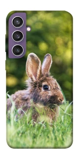 Чехол на Samsung Galaxy S23 FE Кролики фото 1 из 1