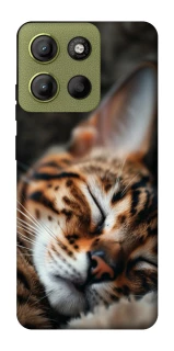 Чехол на Motorola Moto G15 4G Cat paws фото 1 из 1