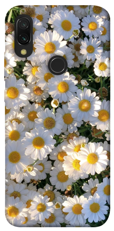 Чохол на Xiaomi Redmi 7 Поле ромашок фото 1 з 1