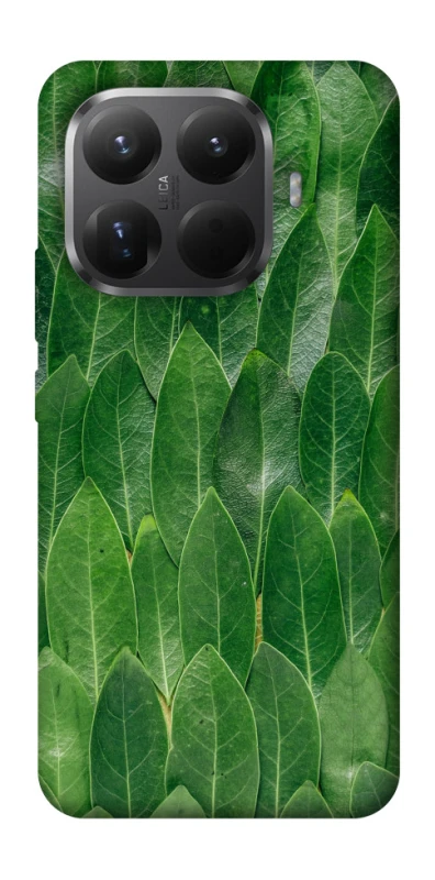 Чохол на Xiaomi 15T Pro Листя фото 1 з 1