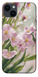 Чехол на Apple iPhone 14 Plus (6.7") Spring фото 1 из 1