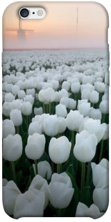 Чохол на Apple iPhone 6/6s plus (5.5") Flowers v1 фото 1 з 1