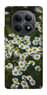 Чехол на Xiaomi Redmi Note 15 4G/5G (EU) Ромашки v13 фото 1 из 1