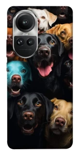 Чохол на Oppo Reno 10 Собаки фото 1 з 1