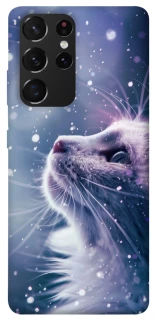 Чехол на Samsung Galaxy S21 Ultra Snow cat фото 1 из 1