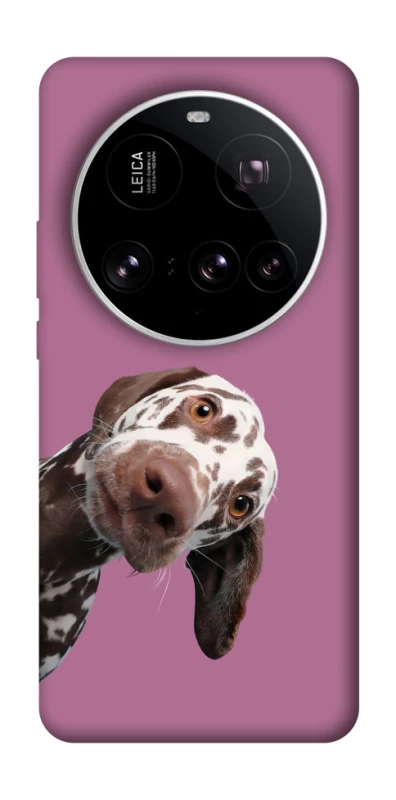 Чохол на Xiaomi 15 Ultra А що тут фото 1 з 1