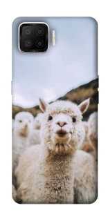 Чохол на Oppo A73 (2017) Лама фото 1 з 1