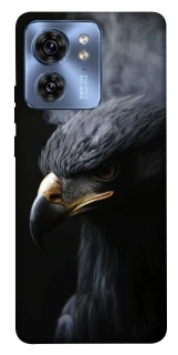Чехол на Motorola Edge 40 black eagle фото 1 из 1