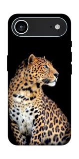 Чохол на Apple iPhone 17 Air (6.5") Leopard v2 фото 1 з 1