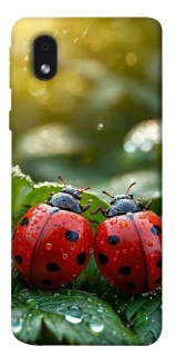 Чохол на Samsung Galaxy M01 Core / A01 Core Flowers v23 фото 1 з 1